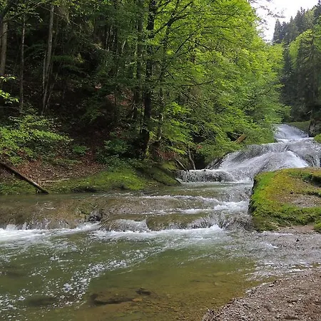 Oberallgäu * Missen-Wilhams